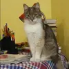 Отзыв от Лидия Голикова